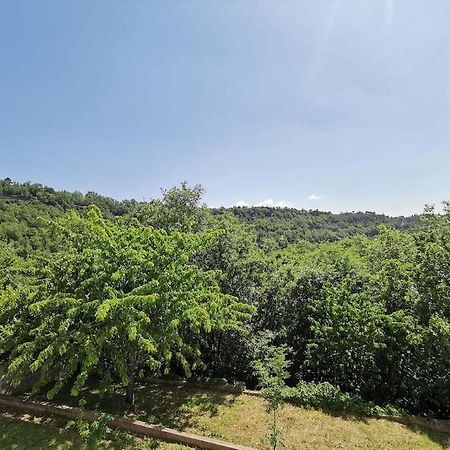 Appartement 2 Ou 4 Personnes. Venaco Venaco (Corsica) Exterior foto
