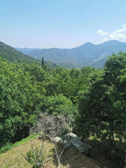 Appartement 2 Ou 4 Personnes. Venaco Venaco (Corsica) Exterior foto